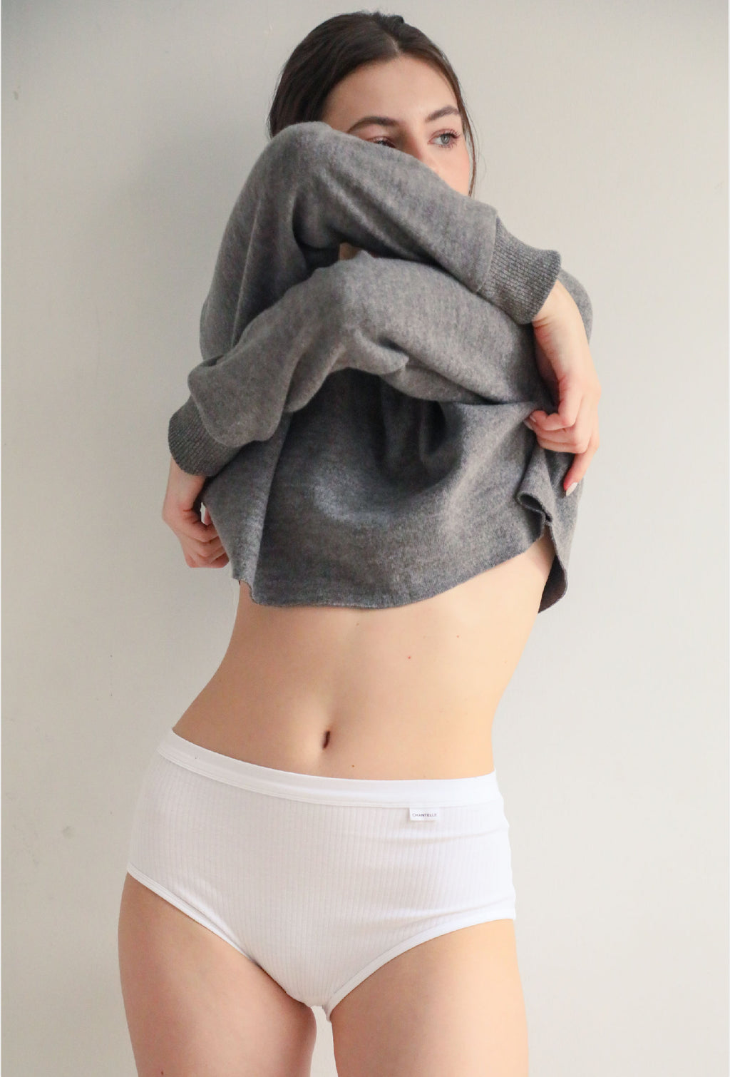 Multicolor Bundle Chantelle Cotton Comfort High Waist Brief 3 Pcs