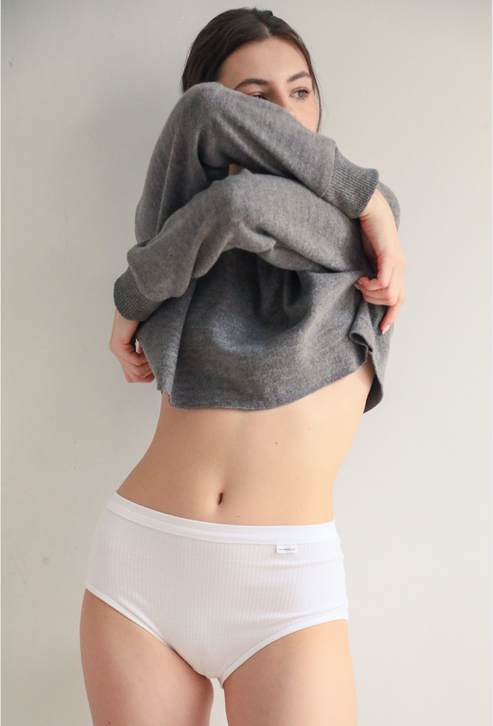 Multicolor Bundle Chantelle Cotton Comfort High Waist Brief 3 Pcs